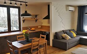 Centrally Located , Brand New, Cozy Apartment With Parking